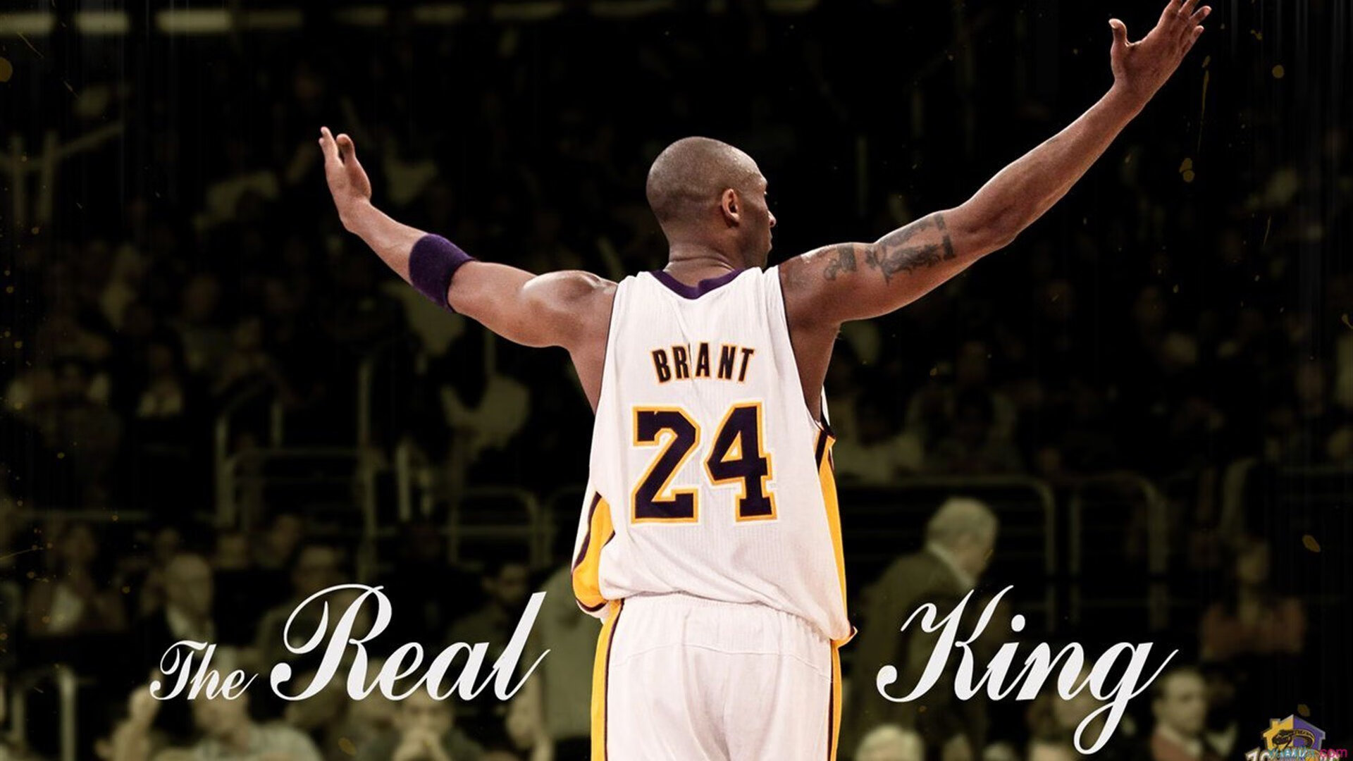 奇才战术压制掘金,福克斯在焦点战证明自己,一场定义赛季的胜利